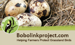 BobolinkProject.com - Visit