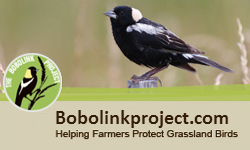 BobolinkProject.com - Visit