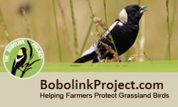 BobolinkProject.com - Visit