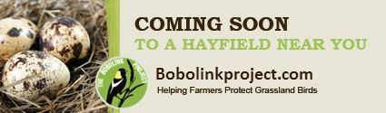 BobolinkProject.com - Visit